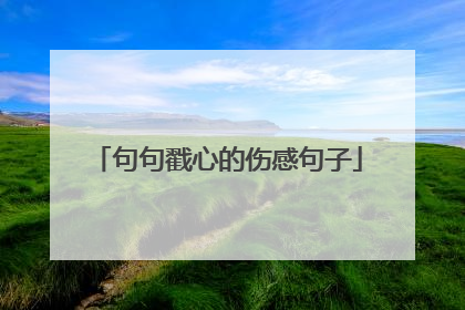 句句戳心的伤感句子