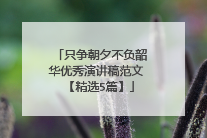 只争朝夕不负韶华优秀演讲稿范文【精选5篇】