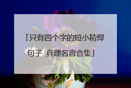 只有四个字的短小精悍句子 真理名言合集