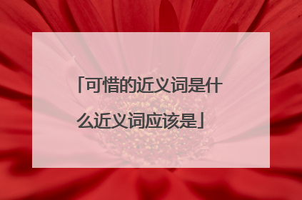 可惜的近义词是什么近义词应该是