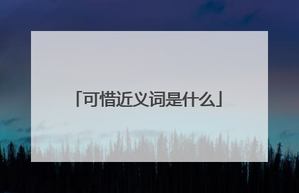 可惜近义词是什么