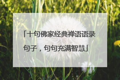 十句佛家经典禅语语录句子，句句充满智慧