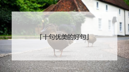 十句优美的好句