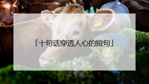 十句话穿透人心的短句