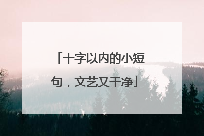十字以内的小短句，文艺又干净