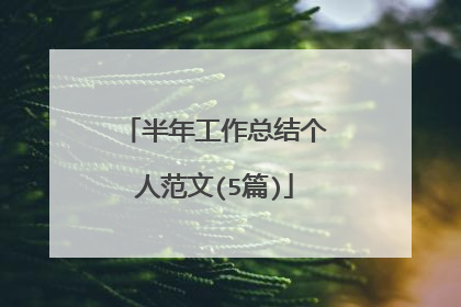 半年工作总结个人范文(5篇)