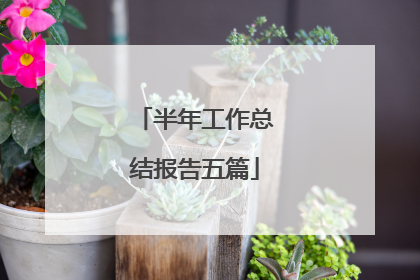 半年工作总结报告五篇