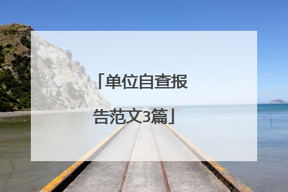 单位自查报告范文3篇