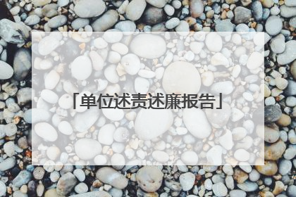 单位述责述廉报告