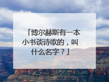 博尔赫斯有一本小书谈诗歌的，叫什么名字？
