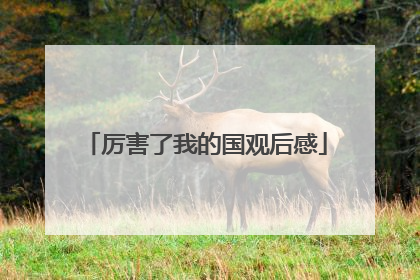 厉害了我的国观后感