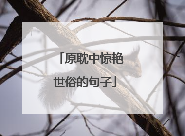 原耽中惊艳世俗的句子