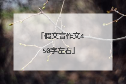 假文盲作文450字左右