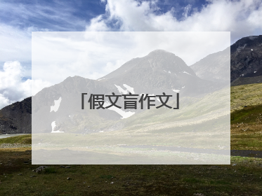 假文盲作文