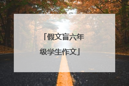 假文盲六年级学生作文