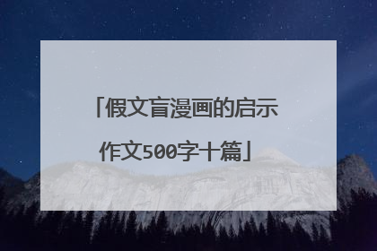 假文盲漫画的启示作文500字十篇