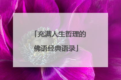 充满人生哲理的佛语经典语录