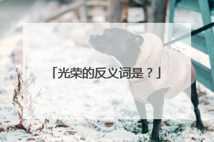 光荣的反义词是？