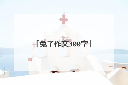 兔子作文300字