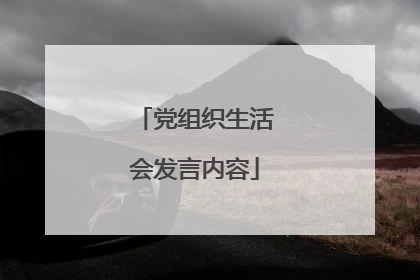 党组织生活会发言内容