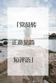 党员转正意见简短评语