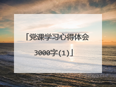 党课学习心得体会3000字(1)