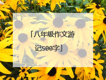 八年级作文游记500字