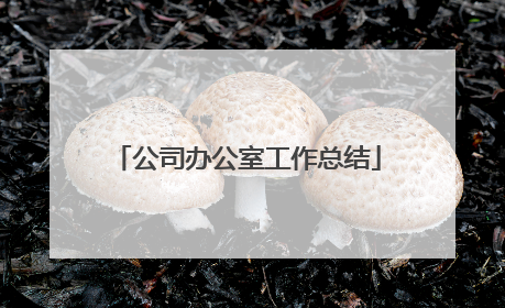 公司办公室工作总结
