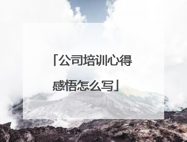 公司培训心得感悟怎么写