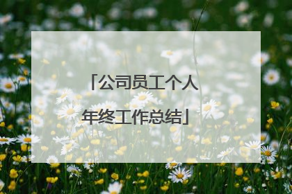 公司员工个人年终工作总结