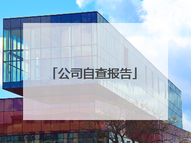 公司自查报告