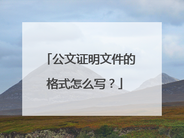 公文证明文件的格式怎么写？
