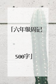 六年级周记500字
