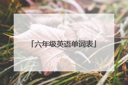 六年级英语单词表