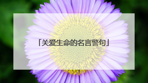 关爱生命的名言警句