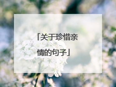关于珍惜亲情的句子