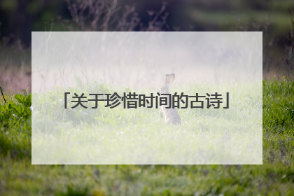 关于珍惜时间的古诗