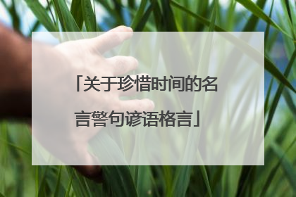 关于珍惜时间的名言警句谚语格言