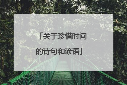 关于珍惜时间的诗句和谚语