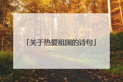 关于热爱祖国的诗句
