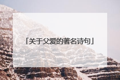 关于父爱的著名诗句