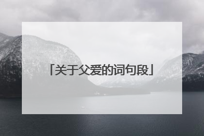 关于父爱的词句段