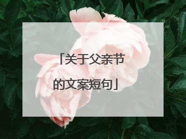 关于父亲节的文案短句