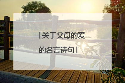关于父母的爱的名言诗句