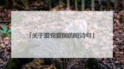关于爱党爱国的短诗句