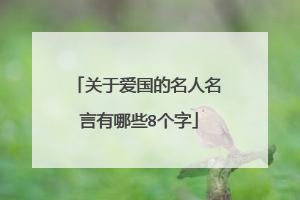 关于爱国的名人名言有哪些8个字