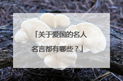关于爱国的名人名言都有哪些？
