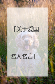 关于爱国名人名言
