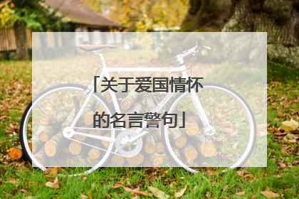 关于爱国情怀的名言警句