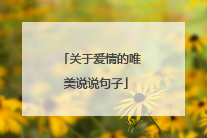 关于爱情的唯美说说句子